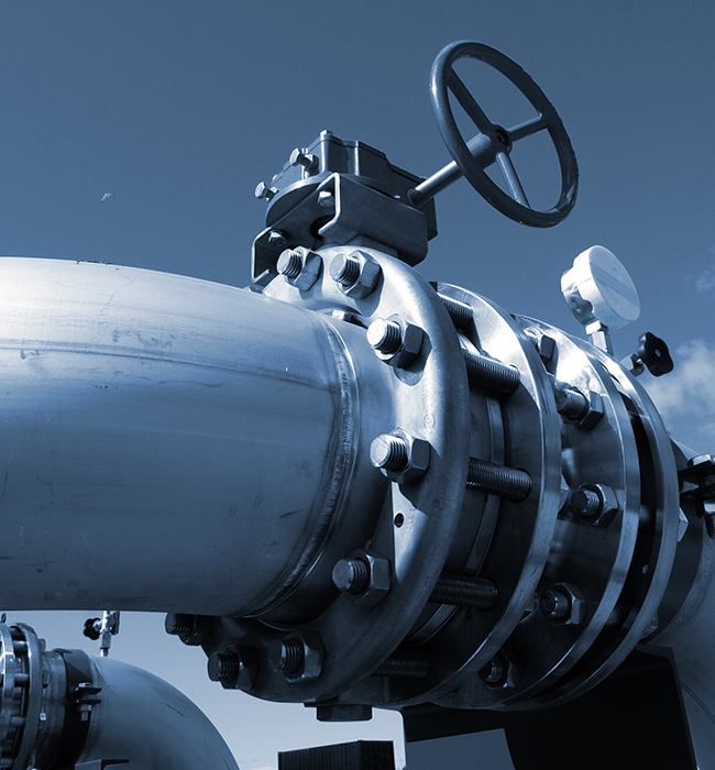 Maye Dünyasında 'Nəzarət Keşikçisi'